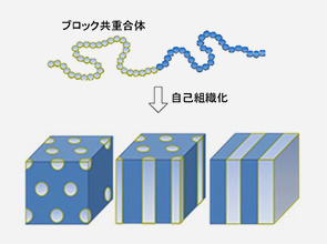 エネルギー化学科 塩月 雅士